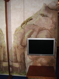 Hotel Drachen Basel Eksteriør bilde